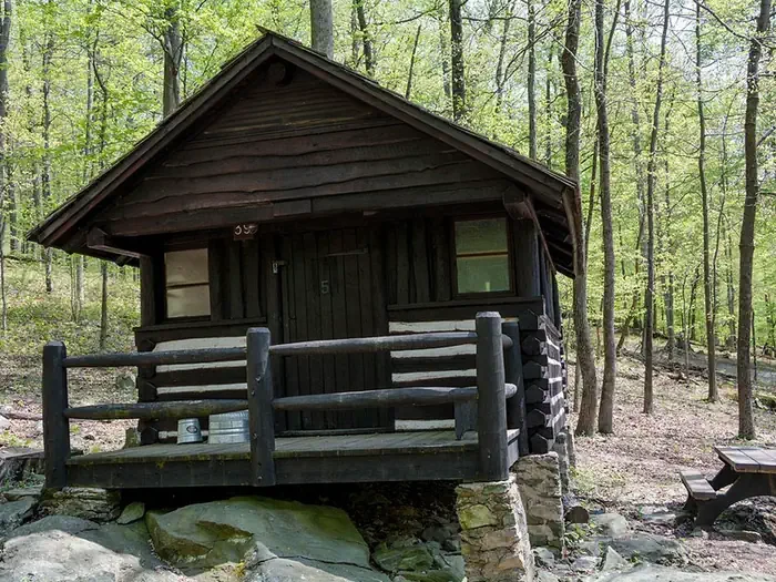 Cabin 39