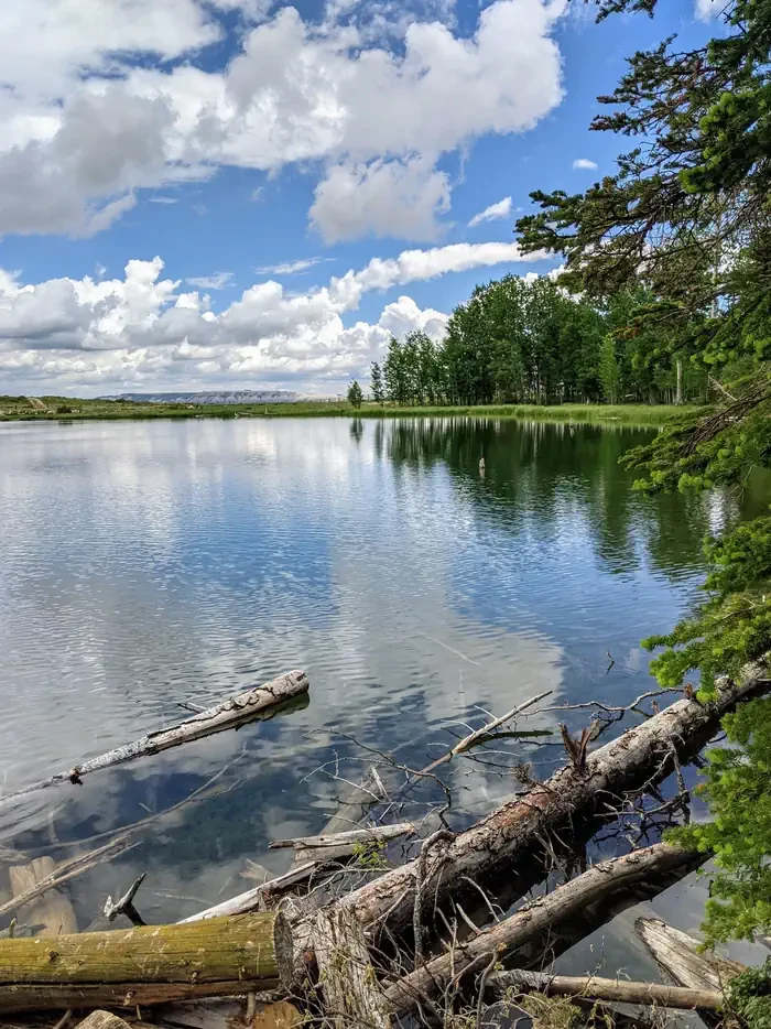 Willow Lake