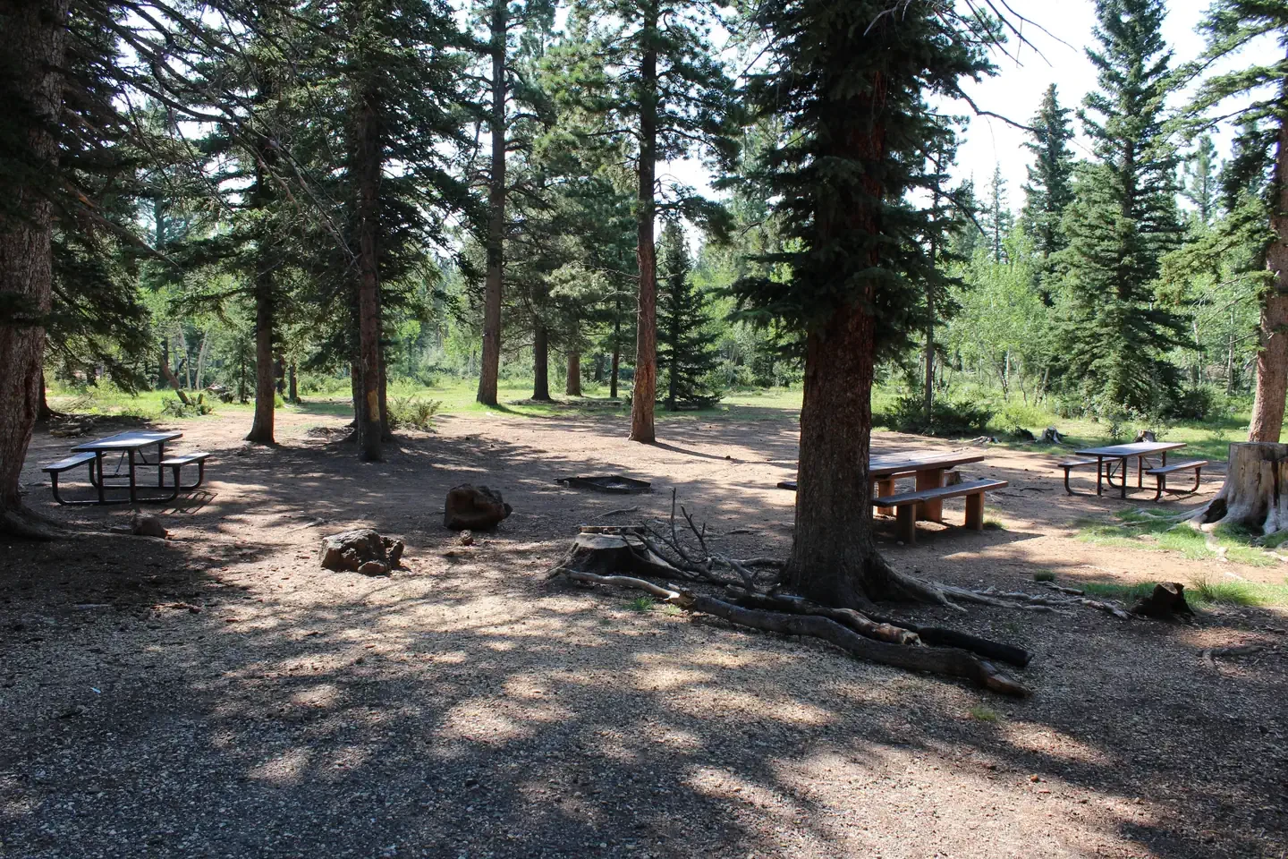Duck Creek