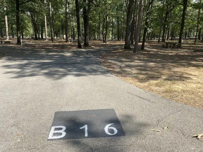 B16