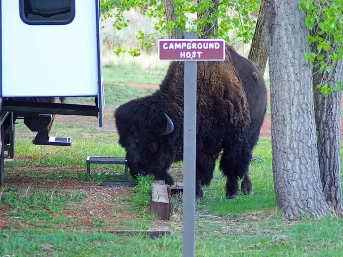 Juniper Campground Group Site (ND)