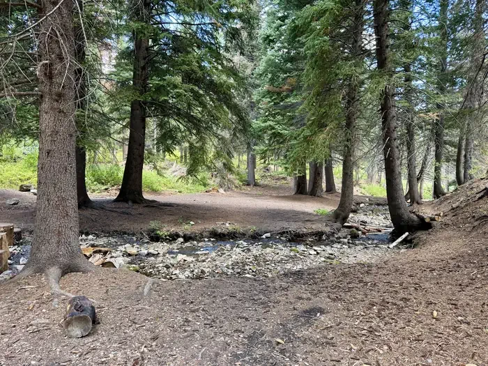 Group Site 2