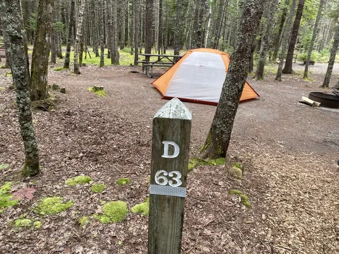D63