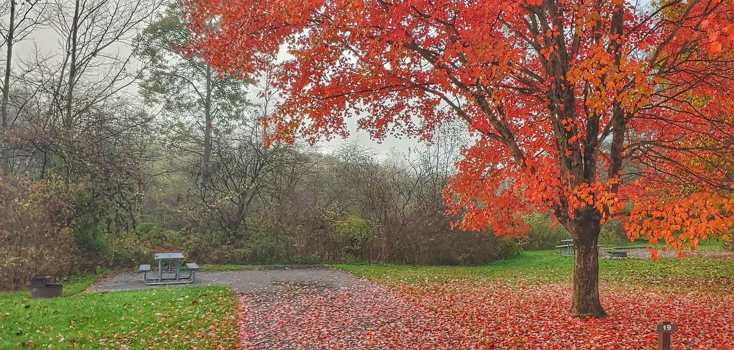 Kellettville Recreation Area (pa)
