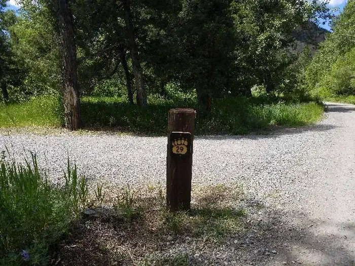 29