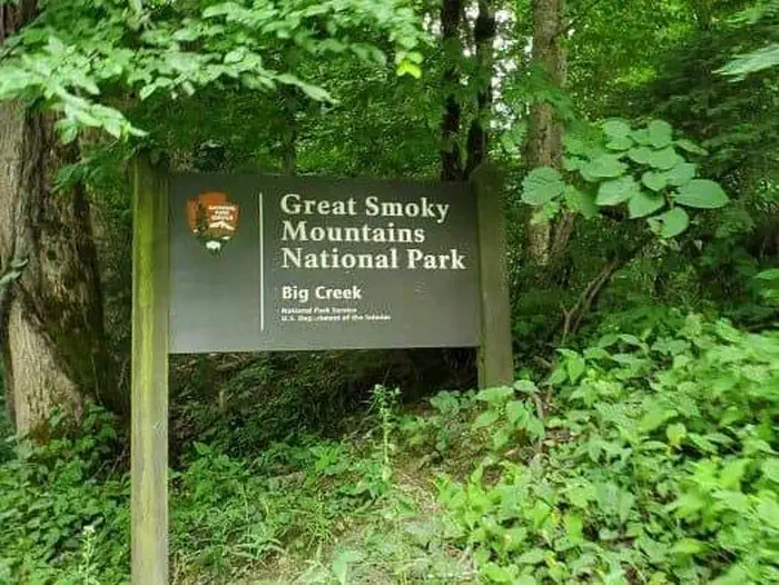 Big Creek Campground (great Smoky Mountains National Park)