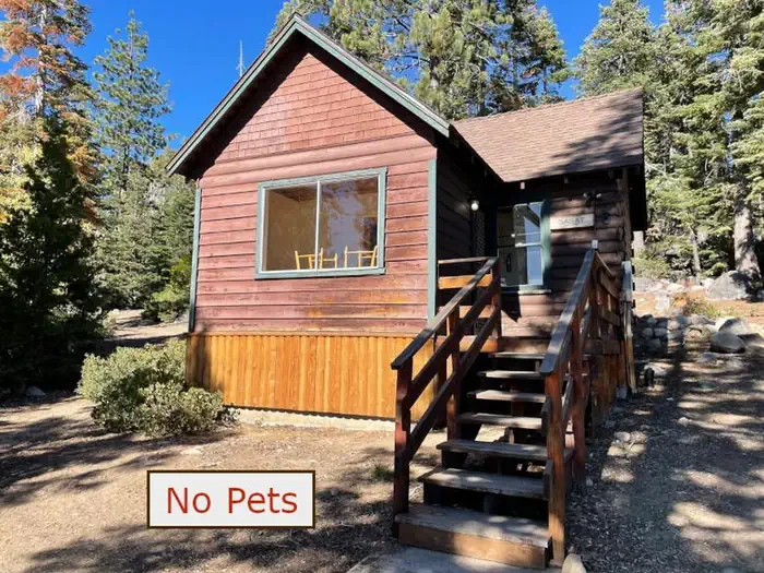 Cabin 6, Basat (Squirrel)
