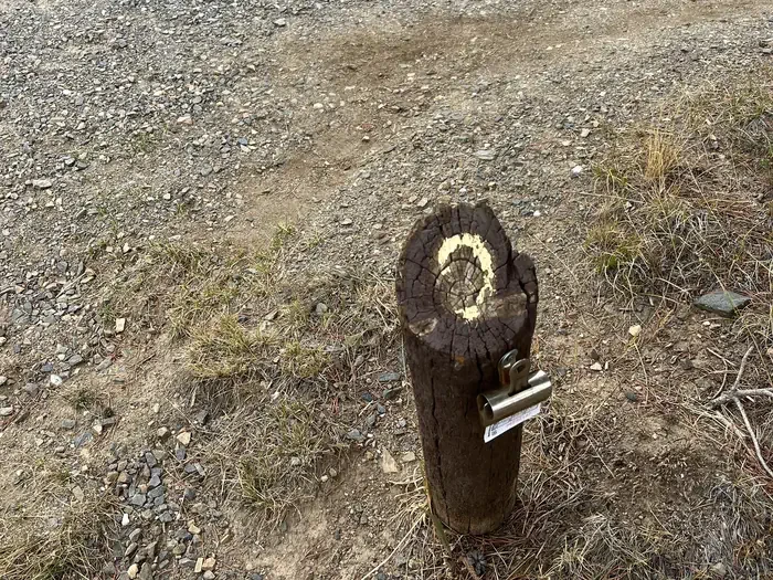 009
