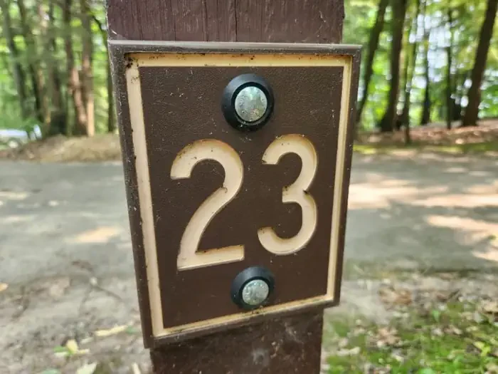 23