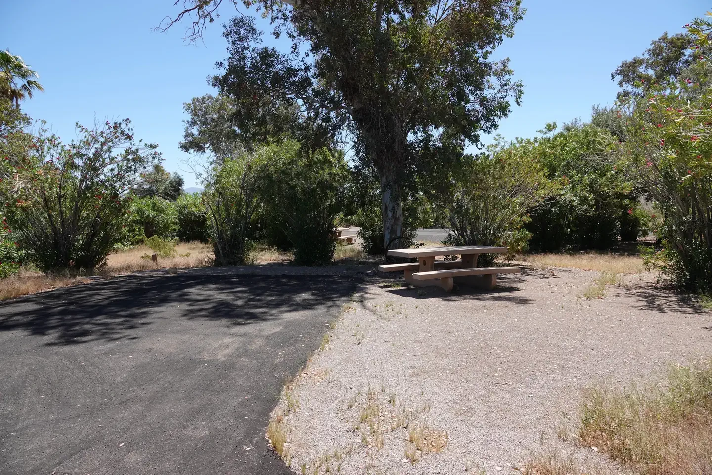 Site 33