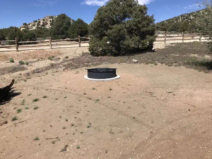 Group Site 2
