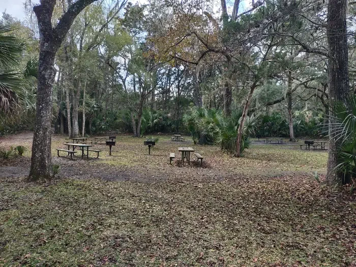 Silver Glen Springs Recreation Area Vehicle Reservations