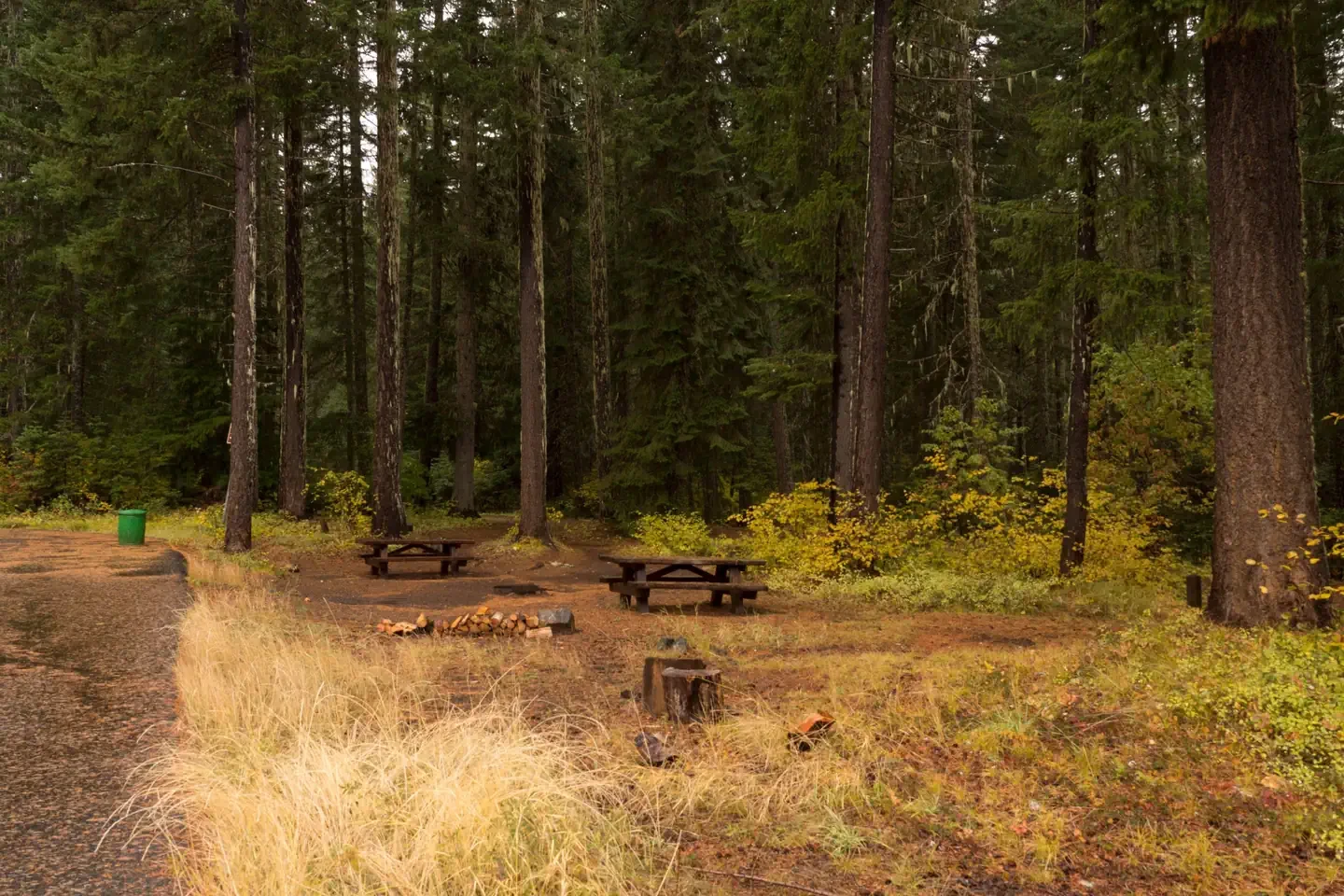 Atkisson Group camp