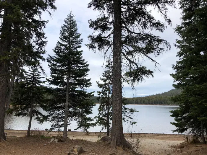 Little Cultus Campground