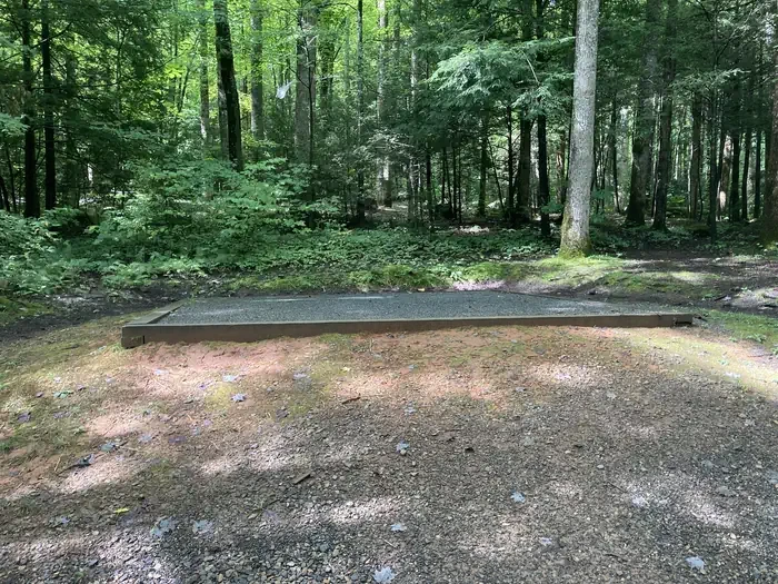 B20