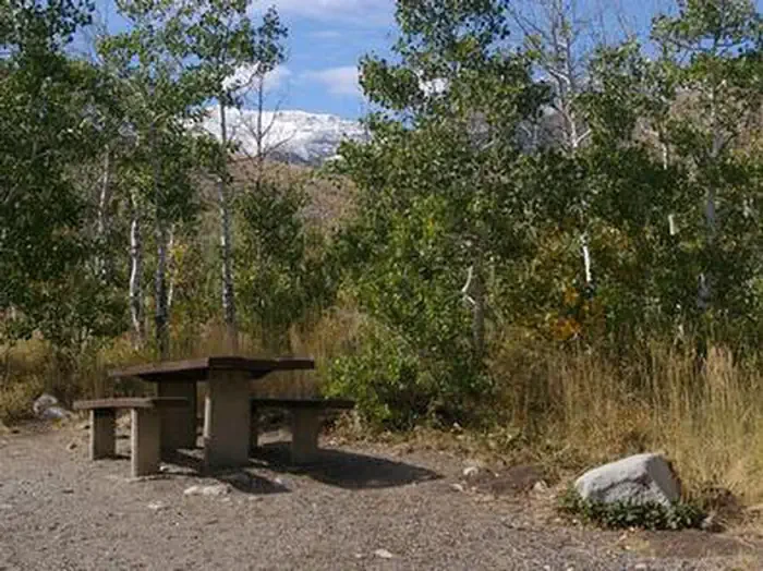 Angel Creek (Humboldt-Toiyabe National Forest, NV)