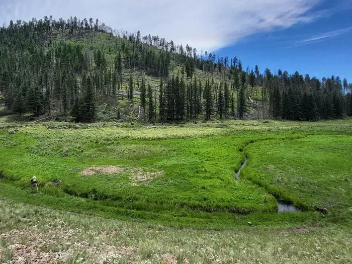 Valles Caldera National Preserve Backcountry Vehicle Timed Entry