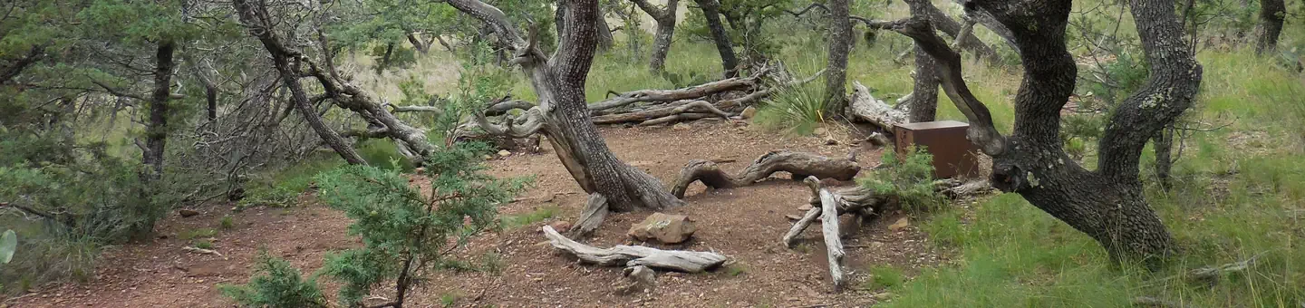 East Rim 2