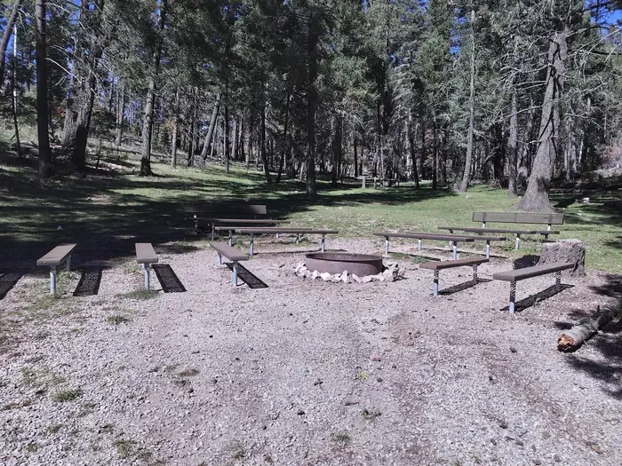 Upper Fir Group Area