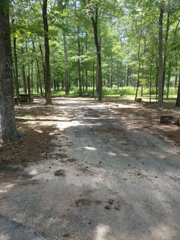 036