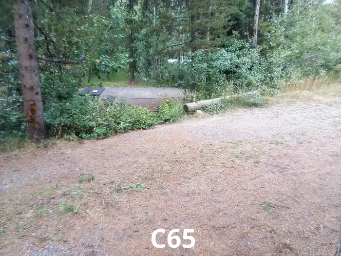 65