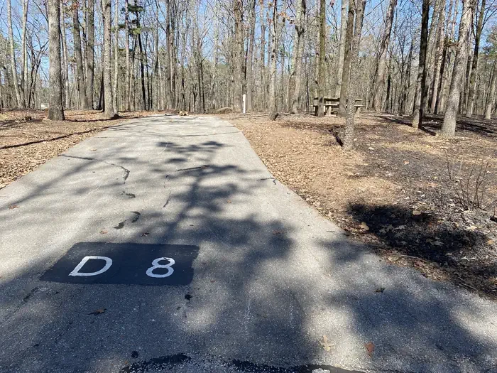 D08