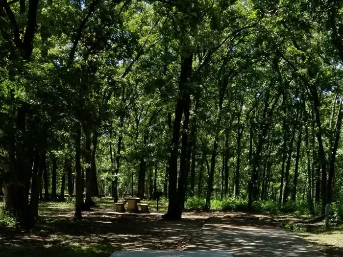 67