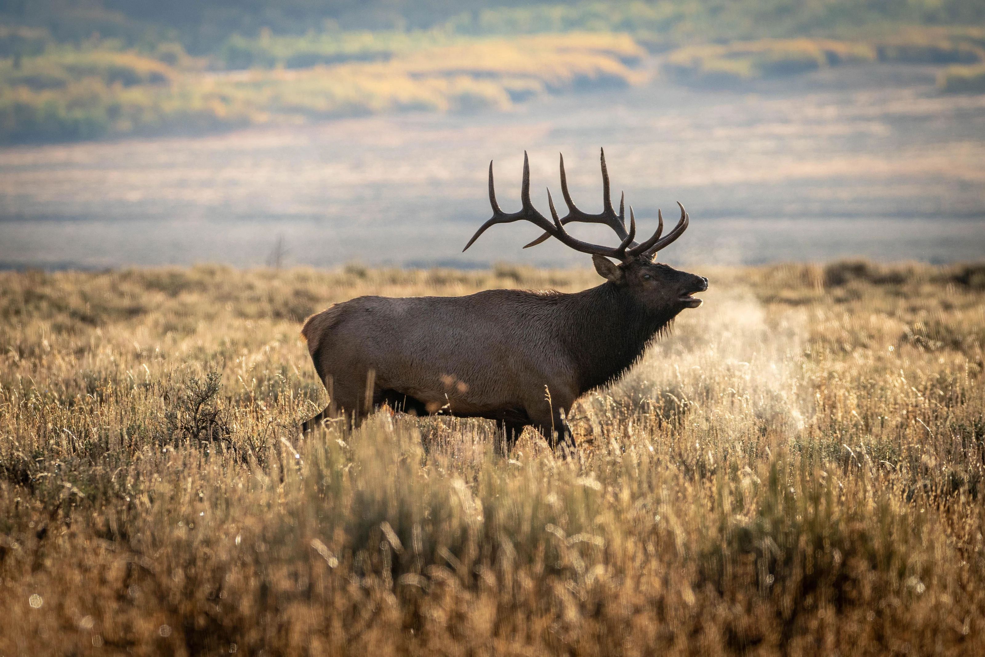 Grand Teton National Park