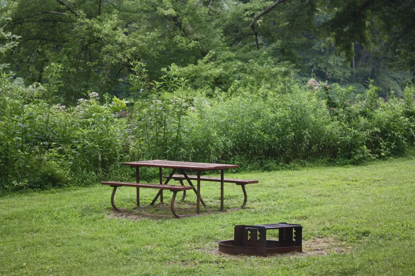 Spring Gap Campground