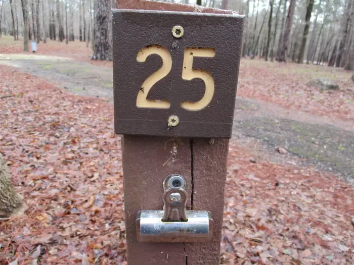 025
