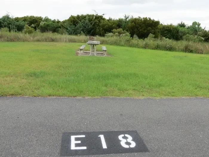 E018