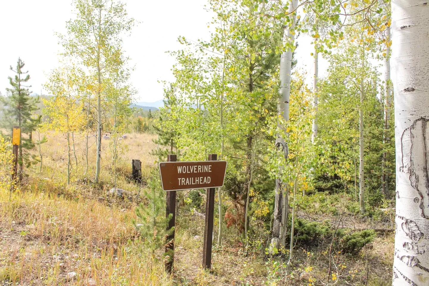 Wolverine ATV Trailhead Campground