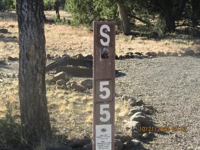 55
