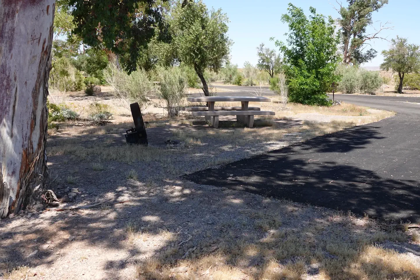 Site 59