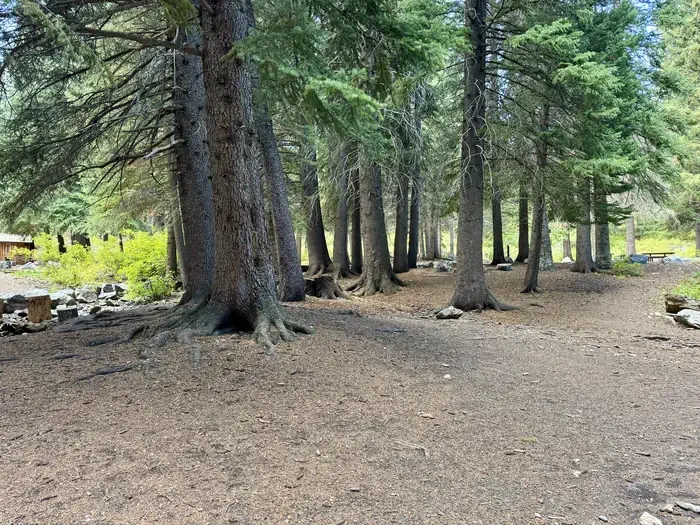 Group Site 2