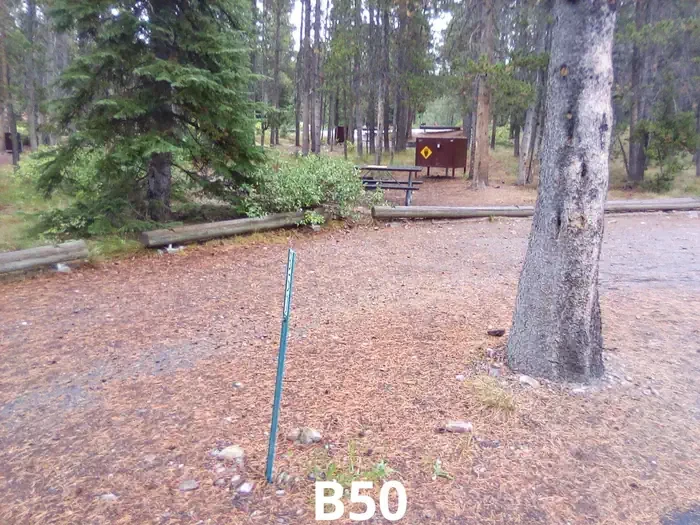 50