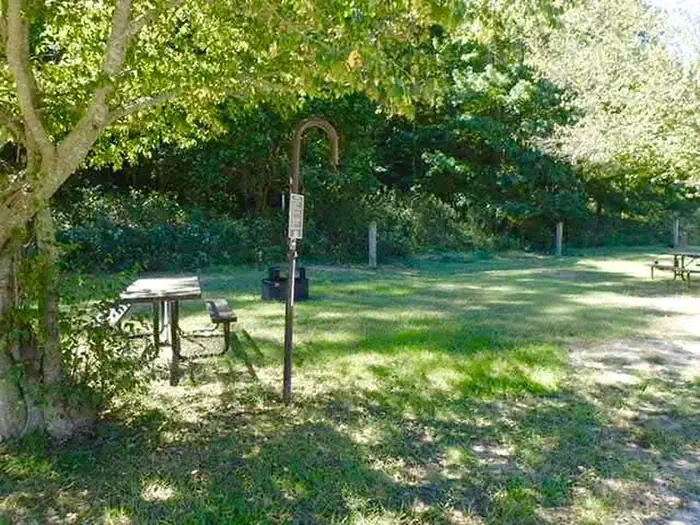 33 - Horse Site