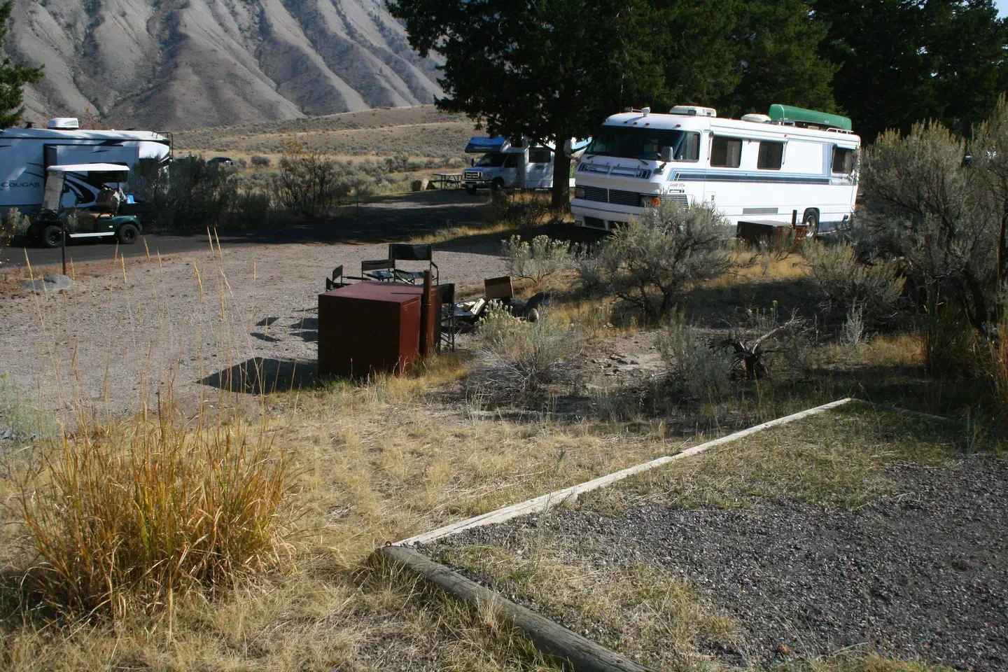 Mammoth site #40
