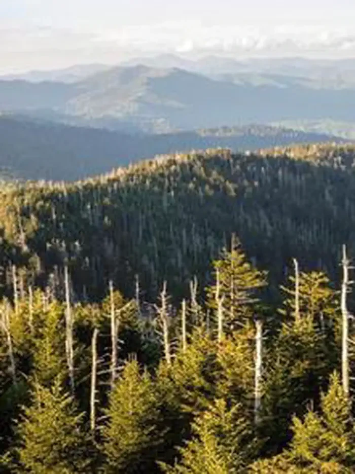 Clingmans Dome Solar Eclipse Event August 21 2017