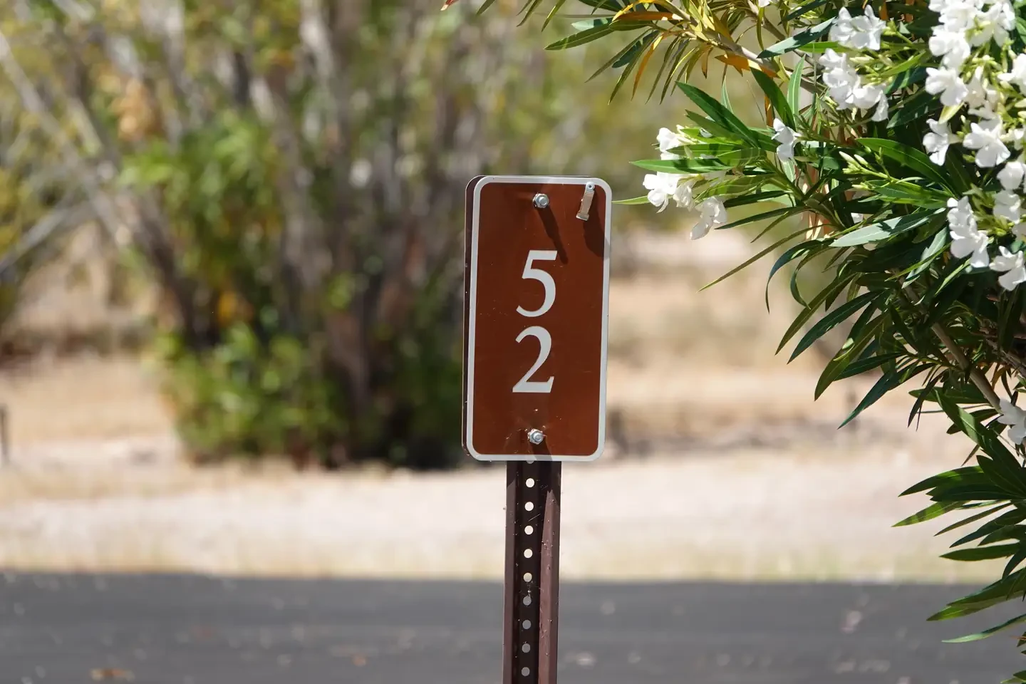 Site 52