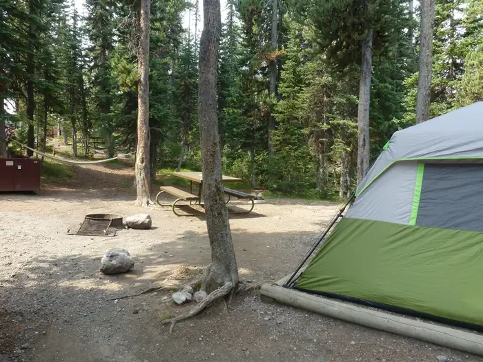 Lewis Lake site #56