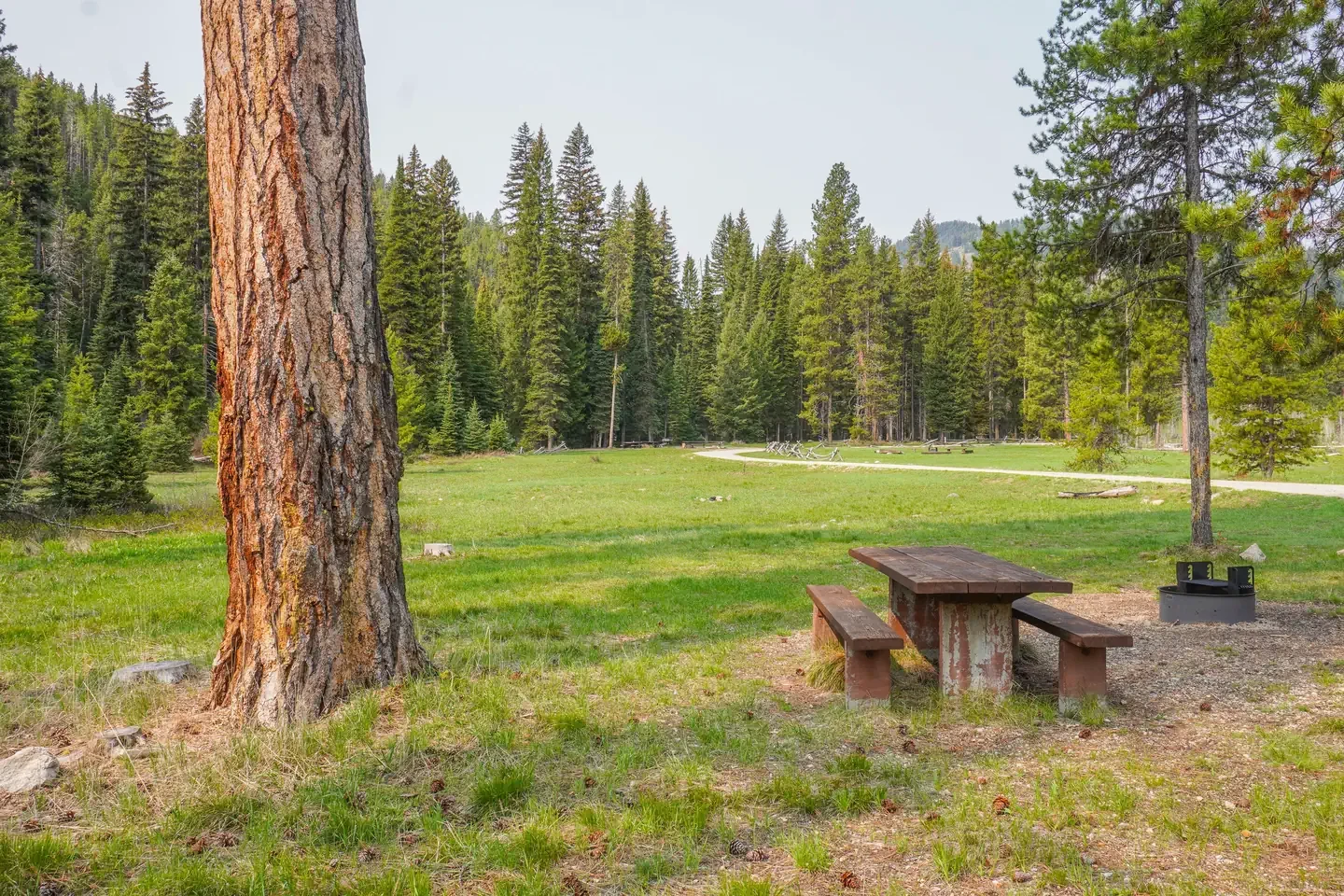 Fales Flat Campground