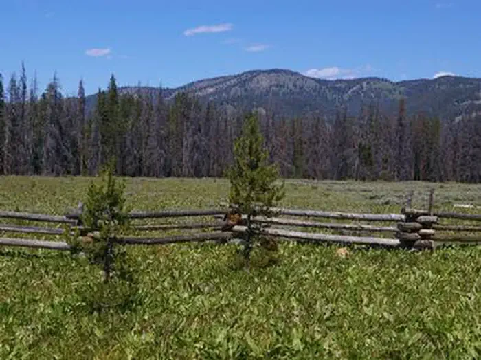 Elk Creek Campground (sawtooth NF)