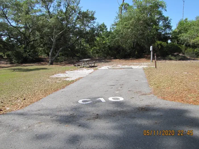 C010