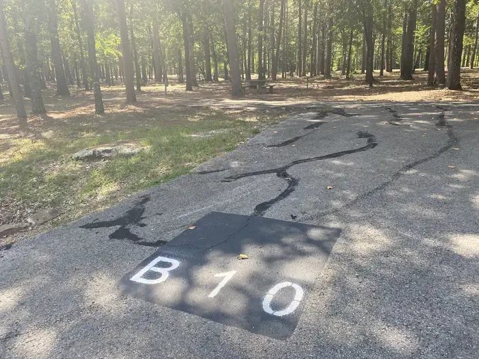 B10