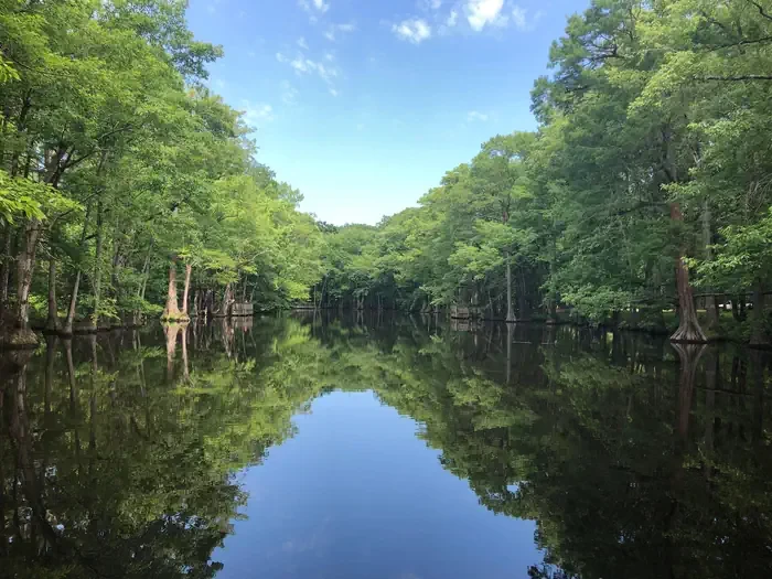 Pickensville Cg (pickensville Al)