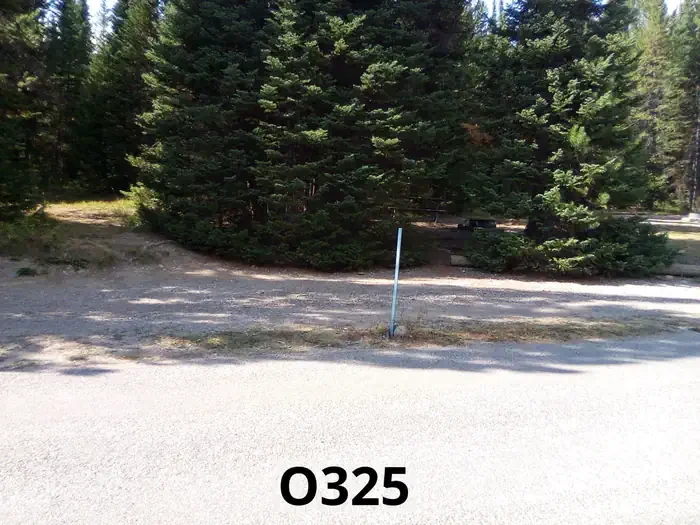 325
