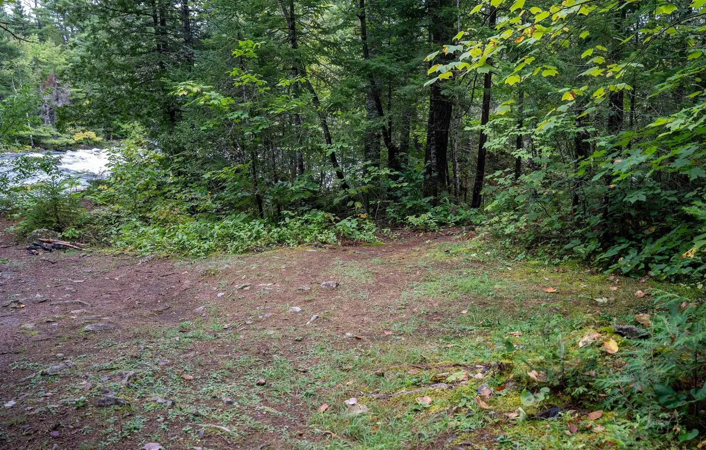 Pond Pitch