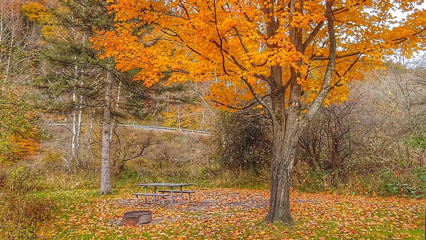 Kellettville Recreation Area (pa)