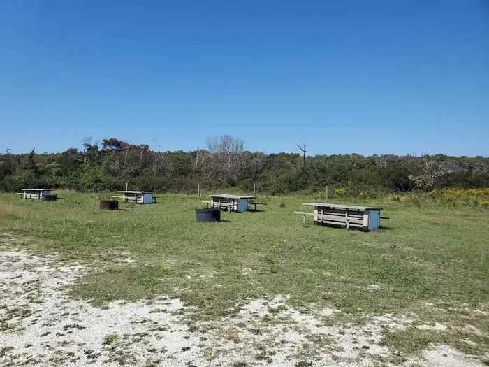 Horse Camp - A